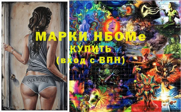 мет Алексин