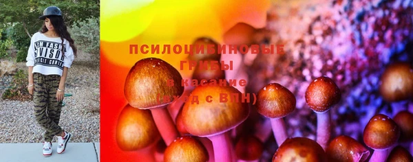 мет Алексин
