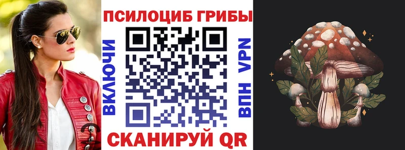 Псилоцибиновые грибы Psilocybe  Дно 